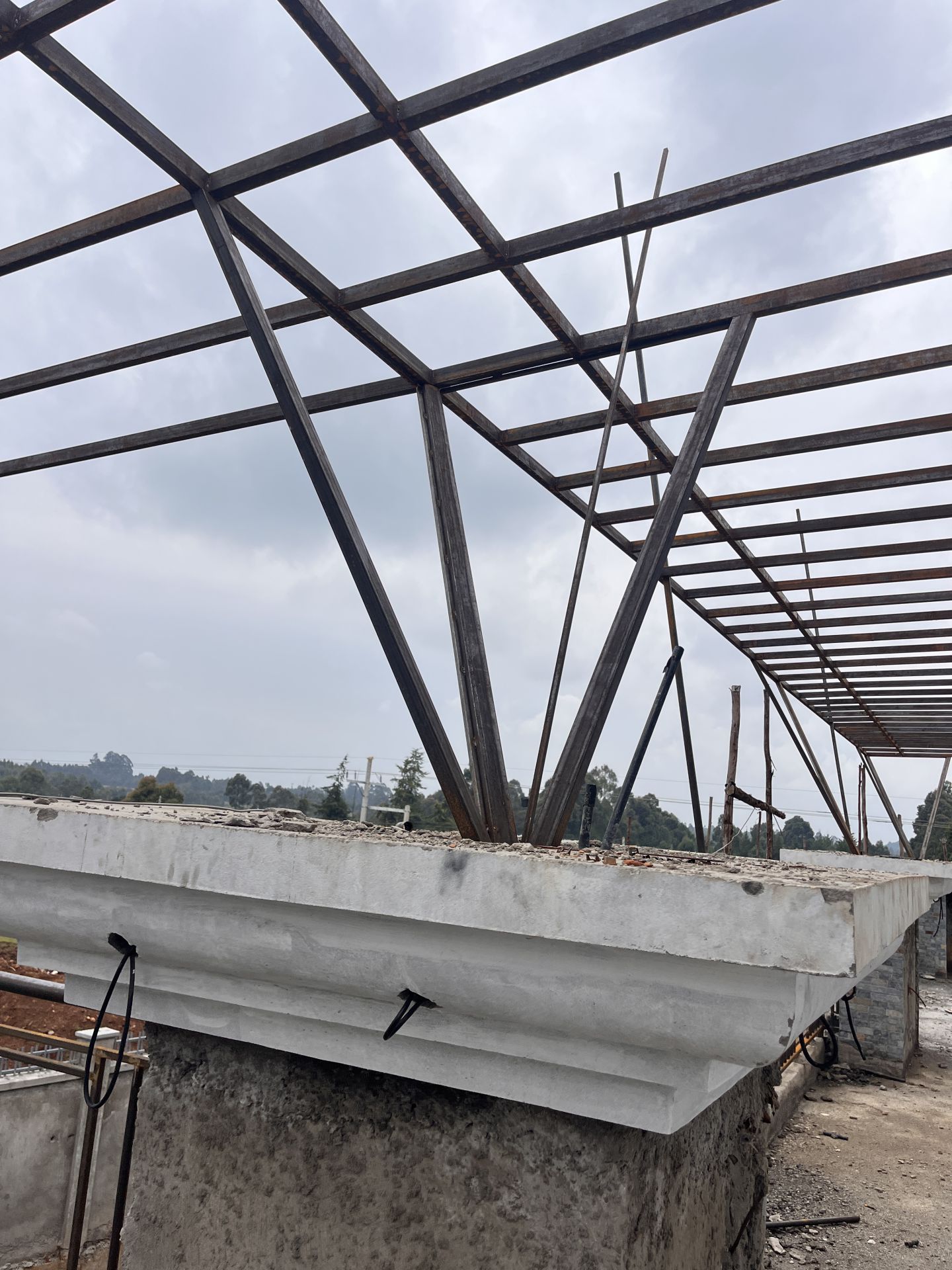 Pergola